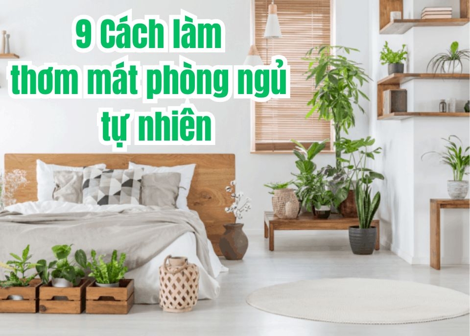 19+ Cách làm thơm mát tự nhiên cho phòng ngủ đơn giản ai cũng làm được